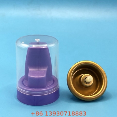 Όλα τα φυσικά μαλλιά Mousse Spray Valve Οργανικά συστατικά για υγιή και κομψά μαλλιά