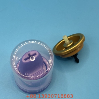 Όλα τα φυσικά μαλλιά Mousse Spray Valve Οργανικά συστατικά για υγιή και κομψά μαλλιά