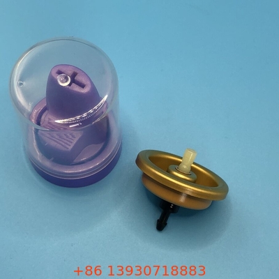 Όλα τα φυσικά μαλλιά Mousse Spray Valve Οργανικά συστατικά για υγιή και κομψά μαλλιά