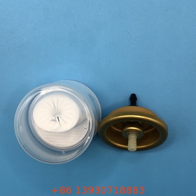 Οργανικά μαλλιά Mousse Spray Valve Φυσικά συστατικά για θρεπτικά και κομψά μαλλιά