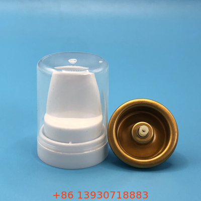 Οργανικά μαλλιά Mousse Spray Valve Φυσικά συστατικά για θρεπτικά και κομψά μαλλιά