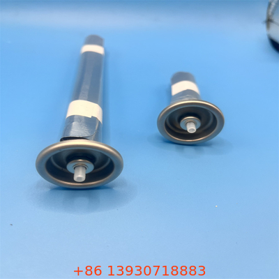 Οικολογικό και Εστιασμένο στον Χρήστη Αεροζόλ Bag-on-Valve για Οικιακά και Εξειδικευμένα Χημικά με Σχεδιασμό Αδιάβροχο