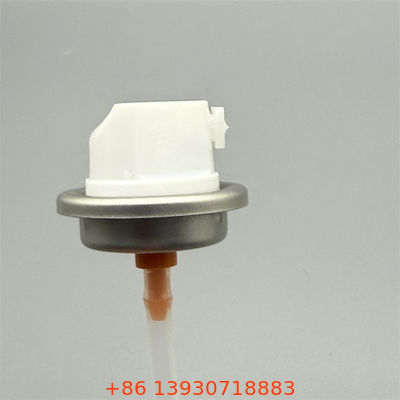 Αρσενική Βαλβίδα & Ενεργοποιητής Σπρέι Βαφής Προσαρμοσμένου Χρώματος, Ανθεκτική στην UV Ακτινοβολία, Διακοσμητικό & Προστατευτικό Φινίρισμα