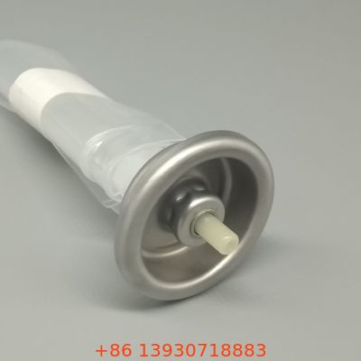 Καινοτόμο Σύστημα Bag-on-Valve για Σπρέι Αεροζόλ Τροφίμων και Καλλυντικών