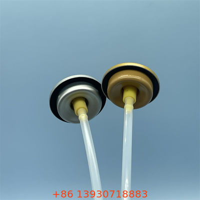 Λούξυ-Grade σωματική βαλβίδα ψεκασμού για high-end καλλυντικά μάρκες & premium προσωπική φροντίδα με ανθεκτικό στη διάβρωση πυρήνα & κομψό φινίρισμα