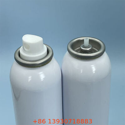 Bag-on-Valve Aerosol Packaging System for Edible Oils, Sauces, and Liquid Food Applications