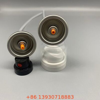 Βαλβίδα αεροζόλ για ξηρό σαμπουάν για αόρατη κάλυψη &amp; φρέσκα μαλλιά μεταξύ των λουσίματος