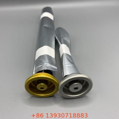 Bag on Valve Female para productos sensibles al oxígeno y larga vida útil